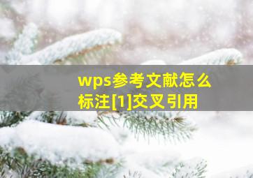 wps参考文献怎么标注[1]交叉引用